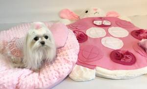 Hundebett HÄSCHEN inkl.Decke,Kissen,Schnüffelteppich,Herz