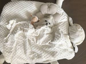 Hundebett SCHÄFCHEN WEISS /CREME inkl.Decke,Kissen ,Spielzeug,Bögen