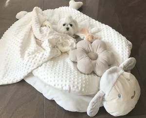 Hundebett SCHÄFCHEN WEISS /CREME inkl.Decke,Kissen ,Spielzeug,Bögen
