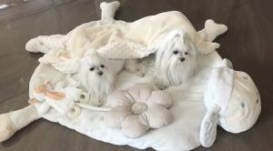 Hundebett SCHÄFCHEN WEISS /CREME inkl.Decke,Kissen ,Spielzeug,Bögen