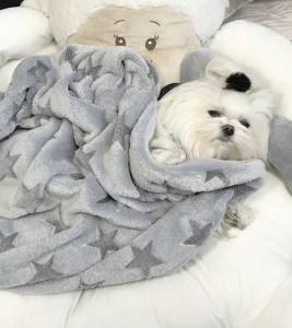 Hundebett SHEEP GREY inkl.Decke,Kissen ,Herz Spielzeug