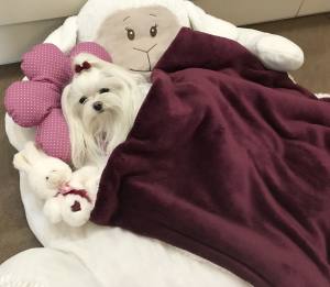 Hundebett SHEEP WEINROT  inkl.Decke,Kissen