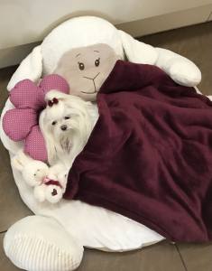 Hundebett SHEEP WEINROT  inkl.Decke,Kissen