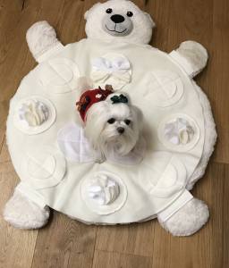 Hundebett TEDDY inkl.Decke,Kissen,Schnüffelteppich,Herz