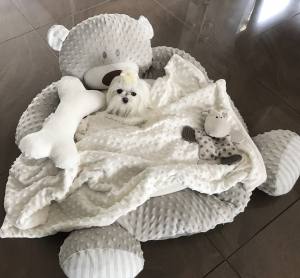 Hundebett Teddy Taupe/Creme mit Decke,Kissen,Knochen,Spielzeug