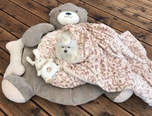 Hundebett Teddy braun /beige mit Decke,Kissen,Knochen,Schnüffeltepich