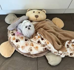 Hundebett Teddy kariert inkl.Kissen,Decke,