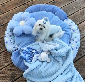 Hundebett,Kuschelnest BLUE inkl.Decke,Kissen,Spielzeug