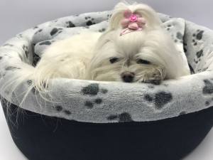 Hundebett,Kuschelnest DREAMLAND BLACK GREY Gr.1