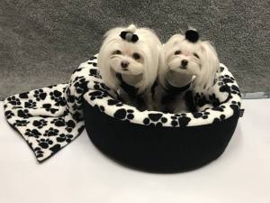 Hundebett,Kuschelnest DREAMLAND BLACK Gr.2