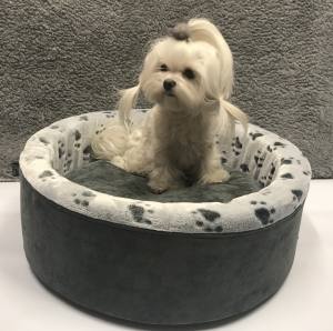 Hundebett,Kuschelnest DREAMLAND GREY Gr.1