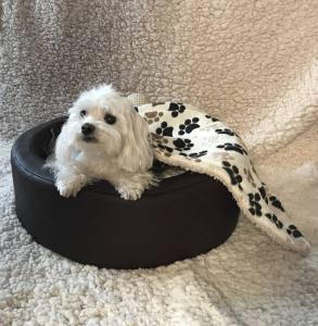 Hundebett,Kuschelnest DREAMLAND KUNSTLEDER BRAUN