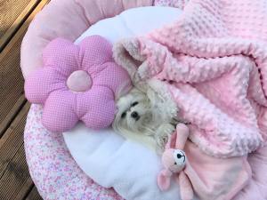Hundebett,Kuschelnest PINK inkl.Decke,Kissen,Spielzeug