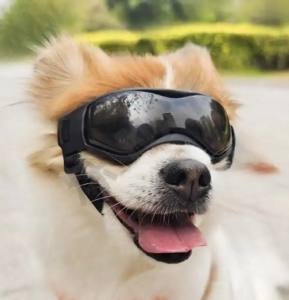 Hundebrille*LITTLE DOG*Black Gr.XS Mini Hunde