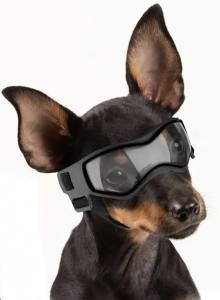 Hundebrille*LITTLE DOG*Black Gr.XS Mini Hunde