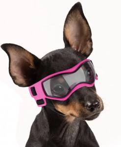 Hundebrille*LITTLE DOG*Pink Gr.XS Mini Hunde