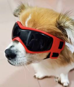 Hundebrille*LITTLE DOG*Red Gr.XS Mini Hunde