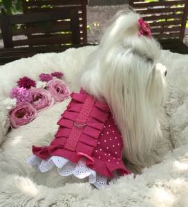 Hundegschirr Pünktchen Pink