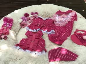 Hundegschirr Pünktchen Pink