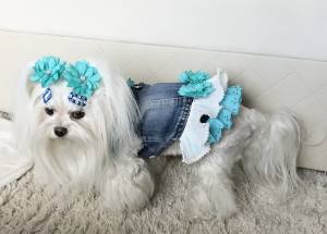 Hundejacke Jeansjacke Weste AMANDA