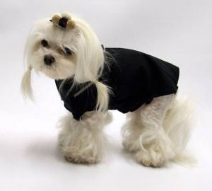 SOFTSHELL BLACK Hundejacke -Winterjacke-Übergangsjacke