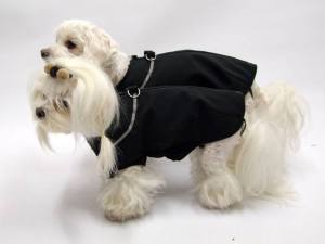 SOFTSHELL BLACK Hundejacke -Winterjacke-Übergangsjacke