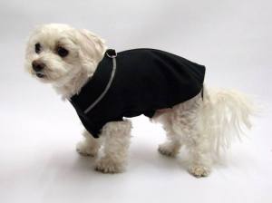 SOFTSHELL BLACK Hundejacke -Winterjacke-Übergangsjacke