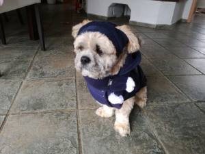 Hundejacke,Winterjacke mit Schal NESNA DARK BLUE RESTPOSTEN