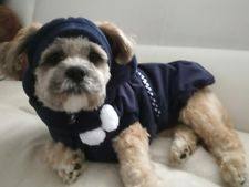 Hundejacke,Winterjacke mit Schal NESNA DARK BLUE RESTPOSTEN