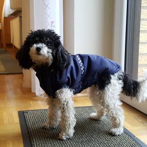 Hundejacke,Winterjacke mit Schal NESNA DARK BLUE RESTPOSTEN