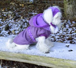 Hundejacke,Winterjacke mit Schal NESNA PURPLE