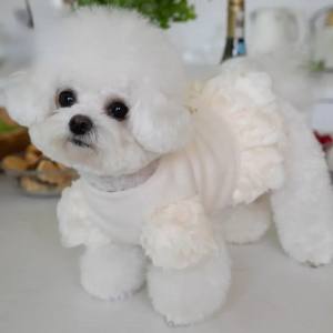 Hundekleid,Mantel ,Winterkleid ZAUBEROSEN