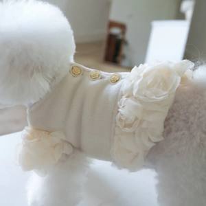 Hundekleid,Mantel ,Winterkleid ZAUBEROSEN