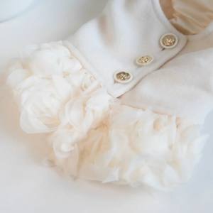 Hundekleid,Mantel ,Winterkleid ZAUBEROSEN