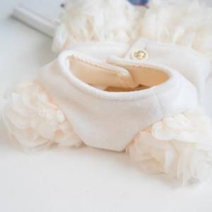 Hundekleid,Mantel ,Winterkleid ZAUBEROSEN