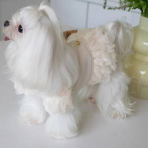 Hundekleid,Mantel ,Winterkleid ZAUBEROSEN