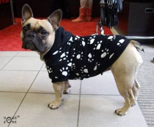 Hundepulli * BLACK PAWS  *RESTPOSTEN