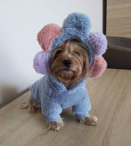 Hundepullover Jogger Teddyplüsch Pullover BIG FLOWER BLUE