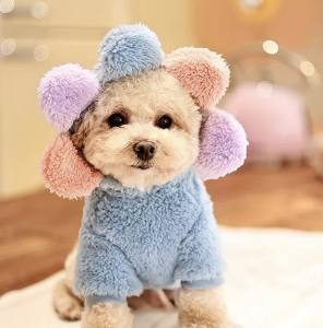 Hundepullover Jogger Teddyplüsch Pullover BIG FLOWER BLUE