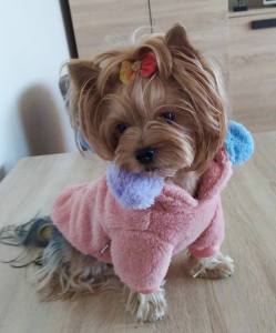 Hundepullover Jogger Teddyplüsch Pullover BIG FLOWER PINK