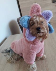 Hundepullover Jogger Teddyplüsch Pullover BIG FLOWER PINK