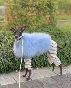 Hundepullover LUX BLUE mit Federn