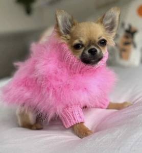 Hundepullover LUX PINK  mit Federn