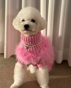 Hundepullover LUX PINK  mit Federn