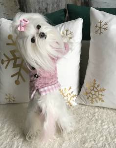 Hundepullover Sehr Dick und warm  für Hunde KARO ROSA