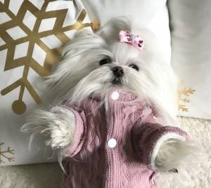 Hundepullover Sehr Dick und warm  für Hunde KARO ROSA