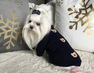 Hundepullover ,Strickpullover für Hunde Bärchen Blau