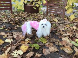 Hundepullover ,Strickpullover für Hunde DOTS PINK