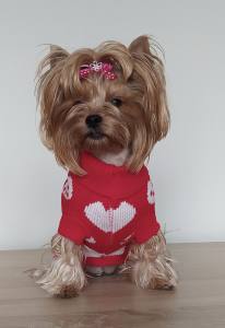 Hundepullover ,Strickpullover für Hunde Lovely HEART RED