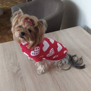 Hundepullover ,Strickpullover für Hunde Lovely HEART RED